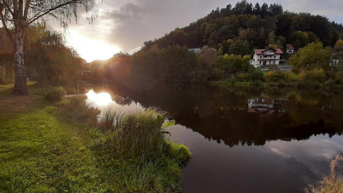 Landhotel Zur Wegelnburg Schönau Εξωτερικό φωτογραφία